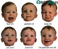 Ảnh Hé mở bí ẩn thời kỳ "bùng phát vốn từ" ở trẻ