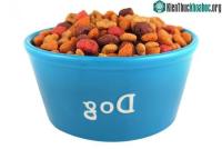 Ảnh Điều gì xảy ra nếu bạn ăn thức ăn của chú cún?