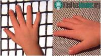 Ảnh Chiều dài ngón tay tiết lộ học lực