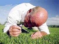Ảnh Người cầu toàn dễ bị stress