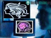 Ảnh Yêu: Một phản ứng dữ dội trong não bộ