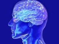 Ảnh Tìm ra “điểm nhân ái” trong não