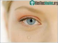Ảnh Tìm ra bí mật của nước mắt