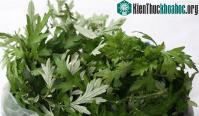 Ảnh Sự thật thú vị về cây ngải cứu