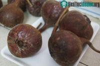Ảnh Quả sung "khổng lồ" gây xôn xao Hà Nội