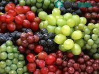 Ảnh Vì sao một số trái cây có tinh bột?