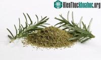 Ảnh Phát hiện loại rau thơm giúp người thọ trăm tuổi