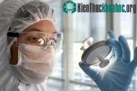 Ảnh Công nghệ sinh học Cuba có tiềm năng phát triển lớn