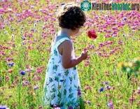 Ảnh Những điều thú vị về các loài hoa