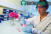 Ảnh Bí mật của hương thơm hoa hồng