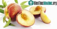 Ảnh Cây đào được trồng từ khi nào?