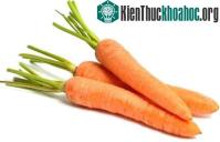 Ảnh Phát triển rau siêu dinh dưỡng bảo vệ mắt