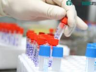 Ảnh Giải mã gene người Việt để cải tạo giống nòi