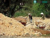 Ảnh Sản xuất phân vi sinh từ bã thải sắn