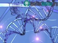 Ảnh Quan sát quá trình sửa chữa ADN ở thời gian thực