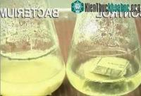 Ảnh Những tiến bộ chính trong công nghệ nhiên liệu sinh học: Rác hôm nay, Ethanol ngày mai