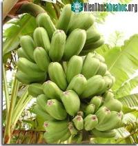 Ảnh Khám phá ra năng lượng của chuối