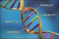 Ảnh Xác định được gien có ảnh hưởng đến việc uống rượu
