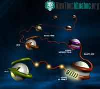 Ảnh Vai trò to lớn của công nghệ tổ hợp gen nhân tạo