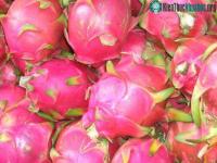 Ảnh Công nghệ tạo màu thực phẩm từ tự nhiên