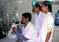 Ảnh Nghiên cứu tế bào gốc: Còn xa để "thay quyền tạo hóa"!