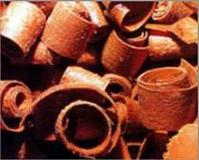 Ảnh Mỹ phát triển nhiên liệu sinh học từ dăm bào