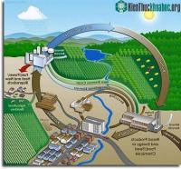 Ảnh Nhiên liệu sinh học: Một chiến lược thích hợp?