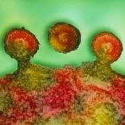 Ảnh Phương thức tìm diệt tế bào nhiễm HIV bằng kháng thể đánh dấu phóng xạ