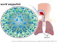 Ảnh Phát hiện protein chủ chốt ở virus H5N1
