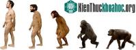 Ảnh Gene bí hiểm khiến người cổ đại biết nói