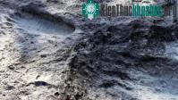 Ảnh Dấu chân người có niên đại 25.000 năm ở Mexico