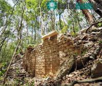 Ảnh Tìm thấy thành phố Maya cổ trong rừng Mexico