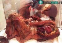 Ảnh Tìm thấy nhiều xác ướp kỳ lạ