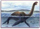 Ảnh Đã tìm thấy tổ tiên của con quái vật hồ Loch Ness?