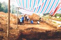 Ảnh Kinh đô Văn Lang lộ diện tại di tích Làng Cả