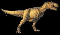 Ảnh 'Kẻ ăn thịt lớn nhất' viết lại lịch sử khủng long