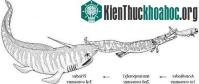 Ảnh Phát hiện hiếm có về hoá thạch trong hoá thạch