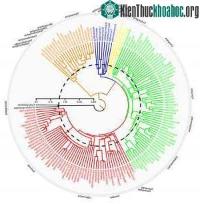 Ảnh Khủng long tuyệt chủng đã không dẫn đến sự xuất hiện của các loài động vật hữu nhũ ngày nay