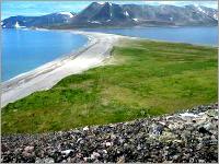 Ảnh Truy tìm dấu vết khủng long trên bán đảo Chukotka (Nga)