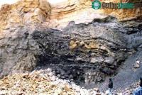 Ảnh Phát hiện nhiều thực vật quý hiếm trong hang cổ ở Mỹ