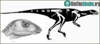 Ảnh Phát hiện khủng long sống trong hang