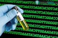 Ảnh Mã vạch DNA - Cuộc cách mạng trong phân loại sinh vật?