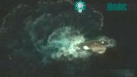 Ảnh Vật thể nghi là quái vật mực dài 120m trong ảnh Google Earth