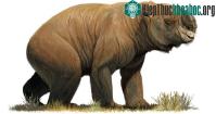 Ảnh Những thú khổng lồ từng thống lĩnh Australia thời tiền sử