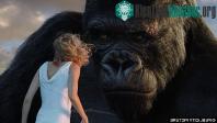 Ảnh Quái vật "King Kong" ngoài đời thực đã bị tuyệt chủng vì lý do này