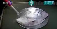 Ảnh Tại sao cá có thể "hồi sinh" sau khi bị đóng băng ở - 32 độ C