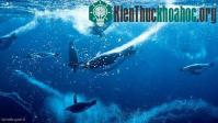 Ảnh Cách sinh tồn ở nơi lạnh nhất Trái Đất