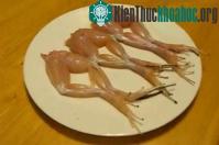 Ảnh Tại sao một số động vật vẫn "nhảy múa" dù bị cắt rời một bộ phận?