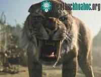 Ảnh 10 loài động vật tuyệt chủng thời cổ đại có hi vọng hồi sinh