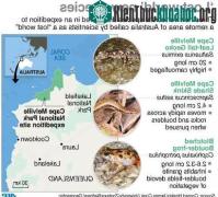 Ảnh Phát hiện 3 loài thú quý còn sống từ thời... nguyên thủy